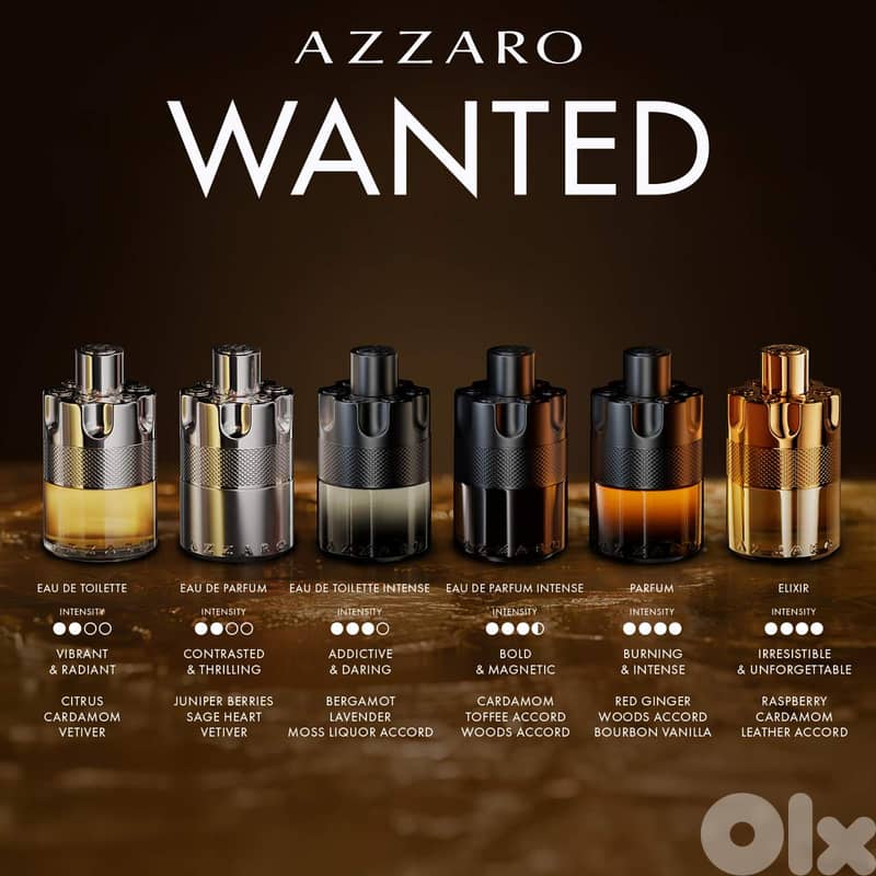 Azzaro Wanted (Eau de Toilette) - 100 mL 1