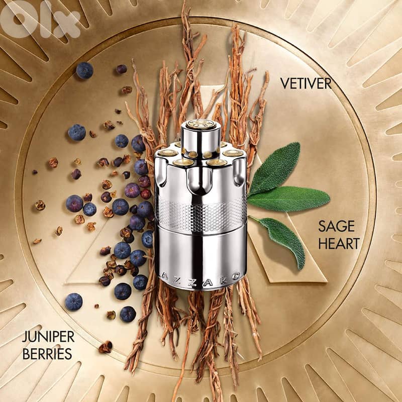 Azzaro Wanted (Eau de Toilette) - 100 mL 2