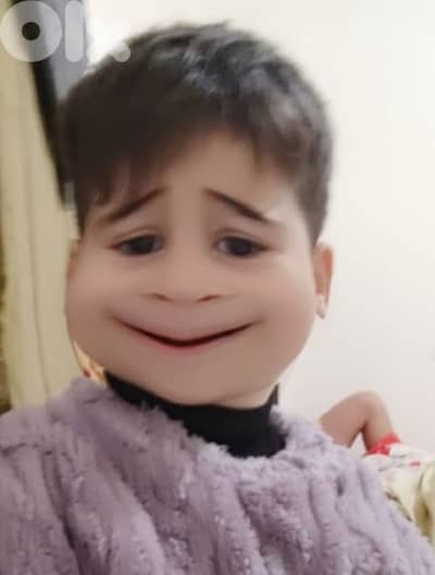 كلب الكوكيز للبيع