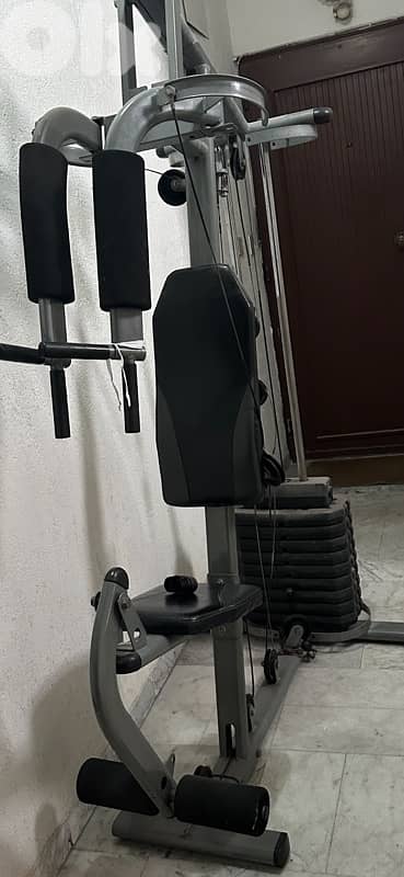 Home gym ( bodybuilding ) workout