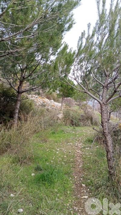 Land for sale in Chouf أرض للبيع في البيرة الشوف