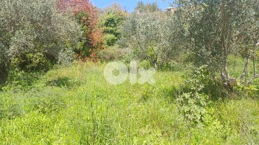 lands for sale in ijd-ebrin Alkoura أرض للبيع في إجدعبرين الكورة