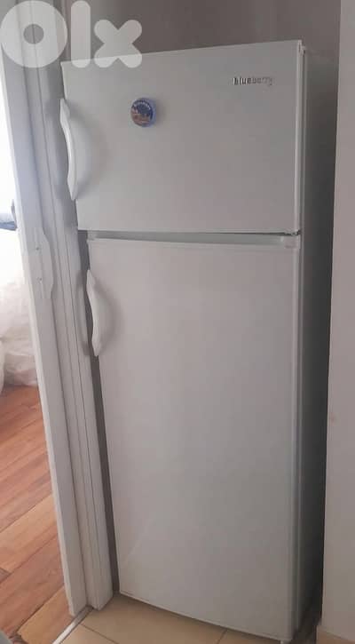 براد Blueberry للبيع