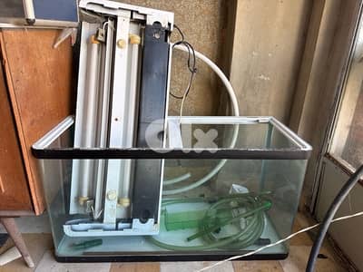 aquarium and fish accessories