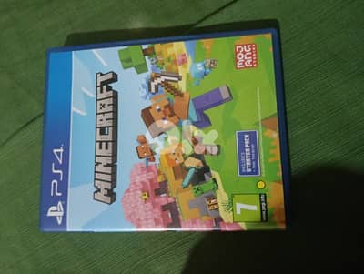 Minecraft ps4 edition super clean