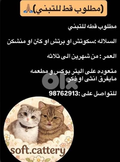 I need a cat to adopt her