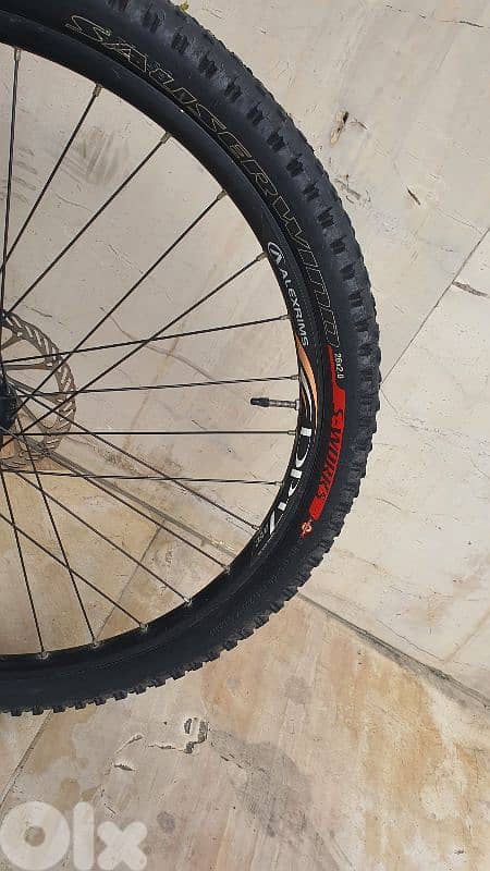 Focus LTD XL Size 3x9 hydraulic disc brakes 8