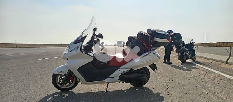 silverwing crystal 1