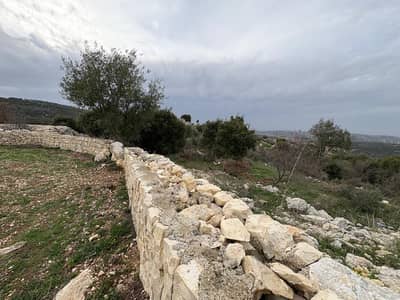 Land for sale in Chabtine, Batroun أرض للبيع في شبطين، البترون