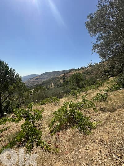 Land for sale in Aghmid Aley عقار للبيع في اغميد عاليه