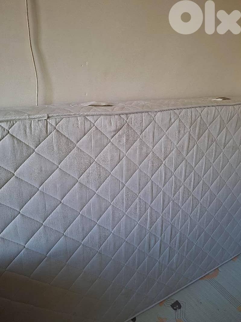 farshe nom comfort 1