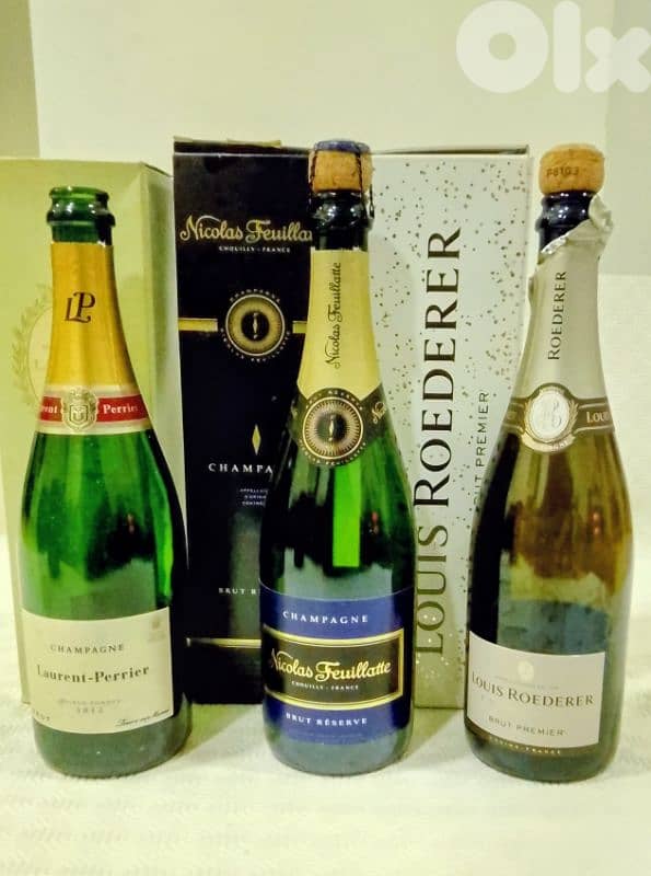 empty alcohol bottle 1