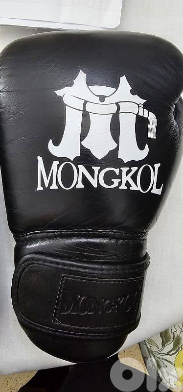 Mongol Gloves 2