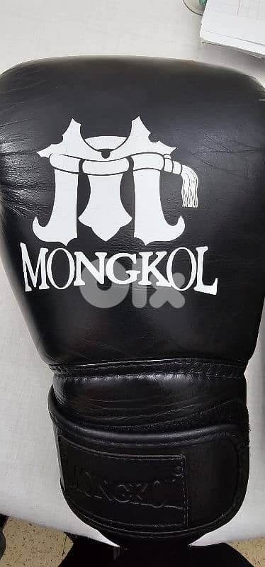 Mongol Gloves 4