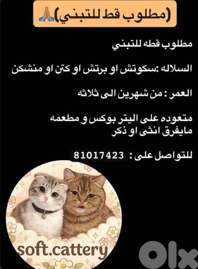 I need a cat to adopt her