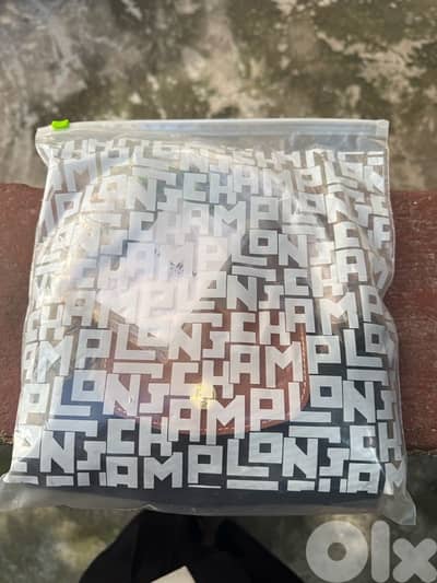 Small black longchamp