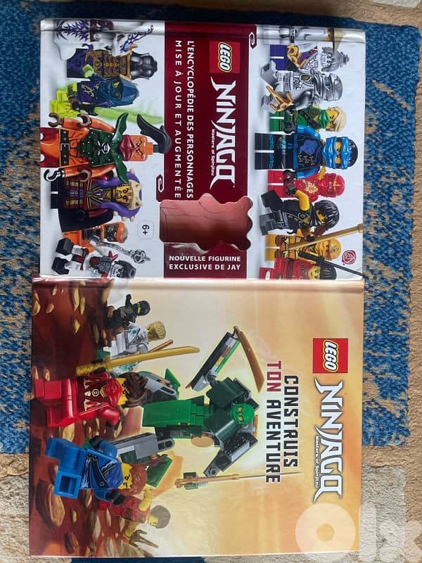 Lego books 1
