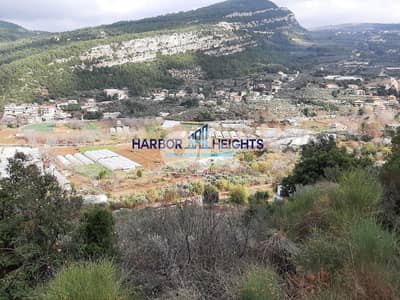Land for Sale in Batroun, Beit Chlela أرض للبيع في البترون