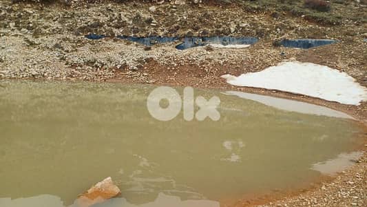 lands for sale in tannourine أرض "لقطة"للبيع في تنورين