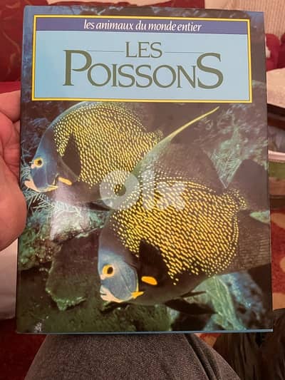 animaux du monde 11 pcs