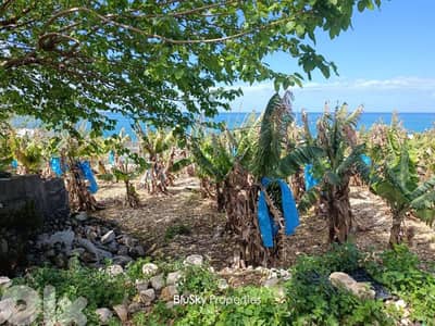 Land For SALE In Halat أرض للبيع #ES