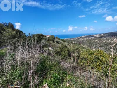 Land For Sale In Chikhane | Open View | أرض للبيع | PLS 26489