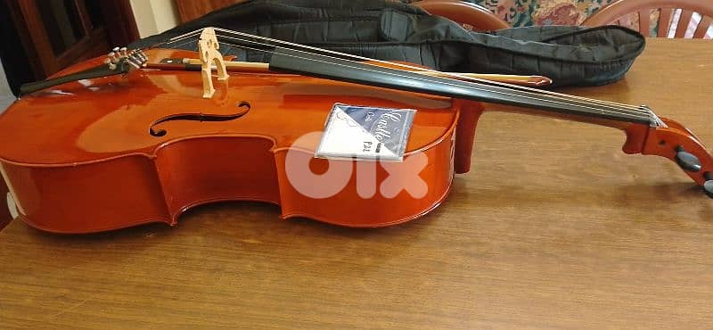 Full size Cello 1