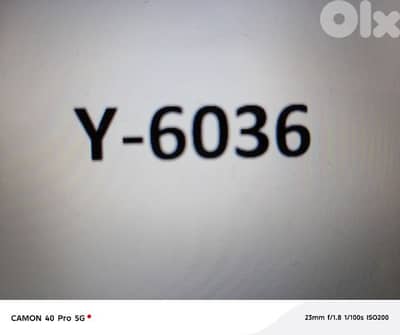 Y-6036