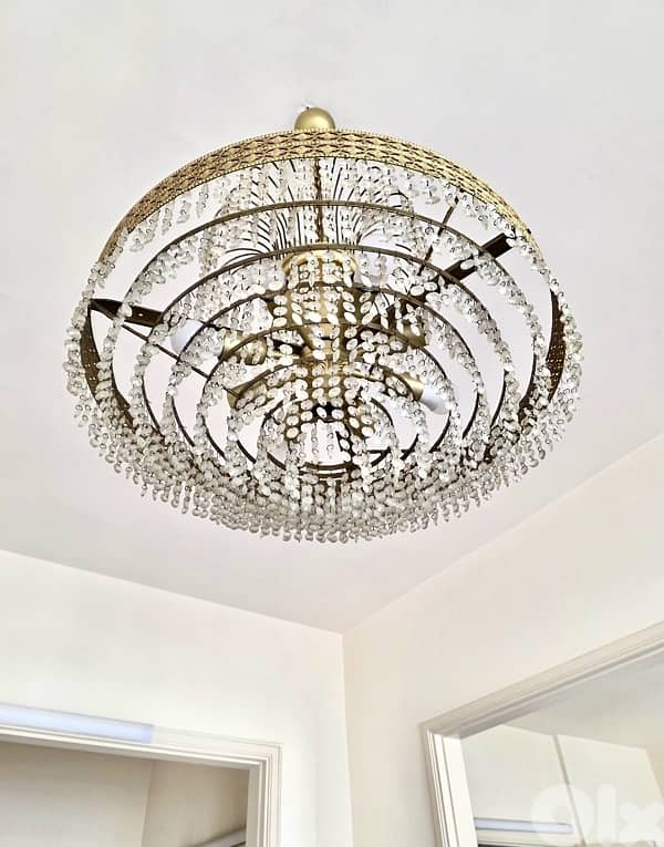 ‏luxurious chandelier 1