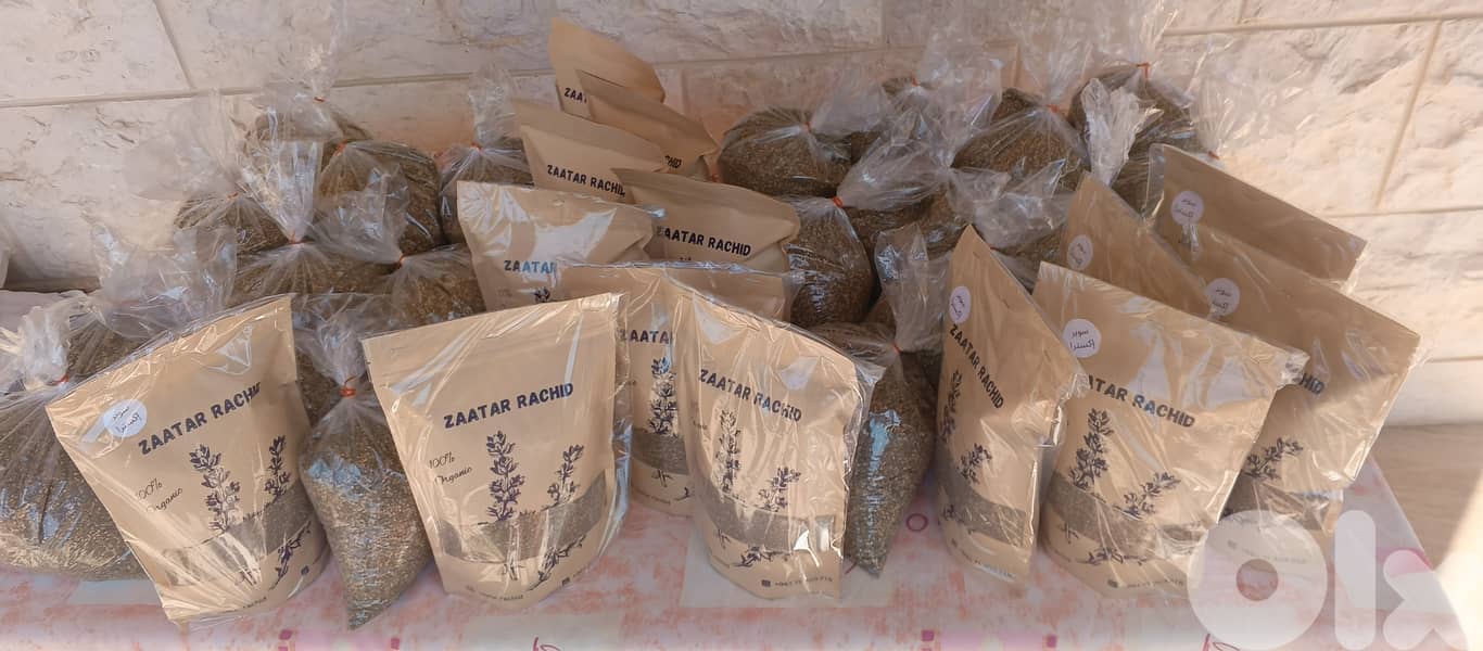 zaatar rachid 6