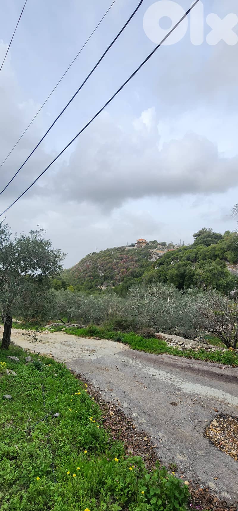 Land For Sale In Smar-Jbeil 2