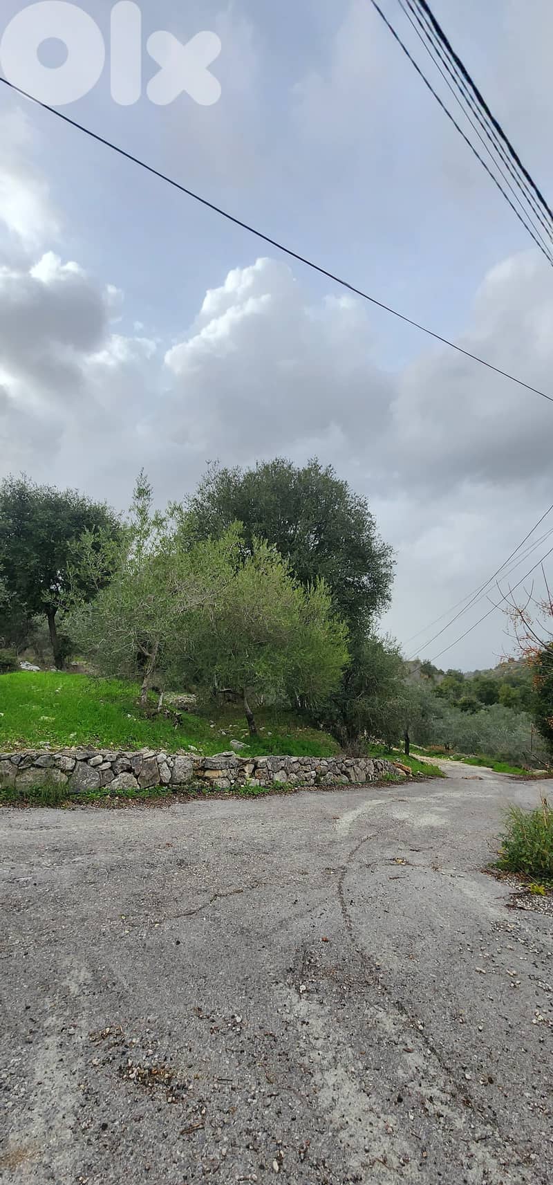 Land For Sale In Smar-Jbeil 3