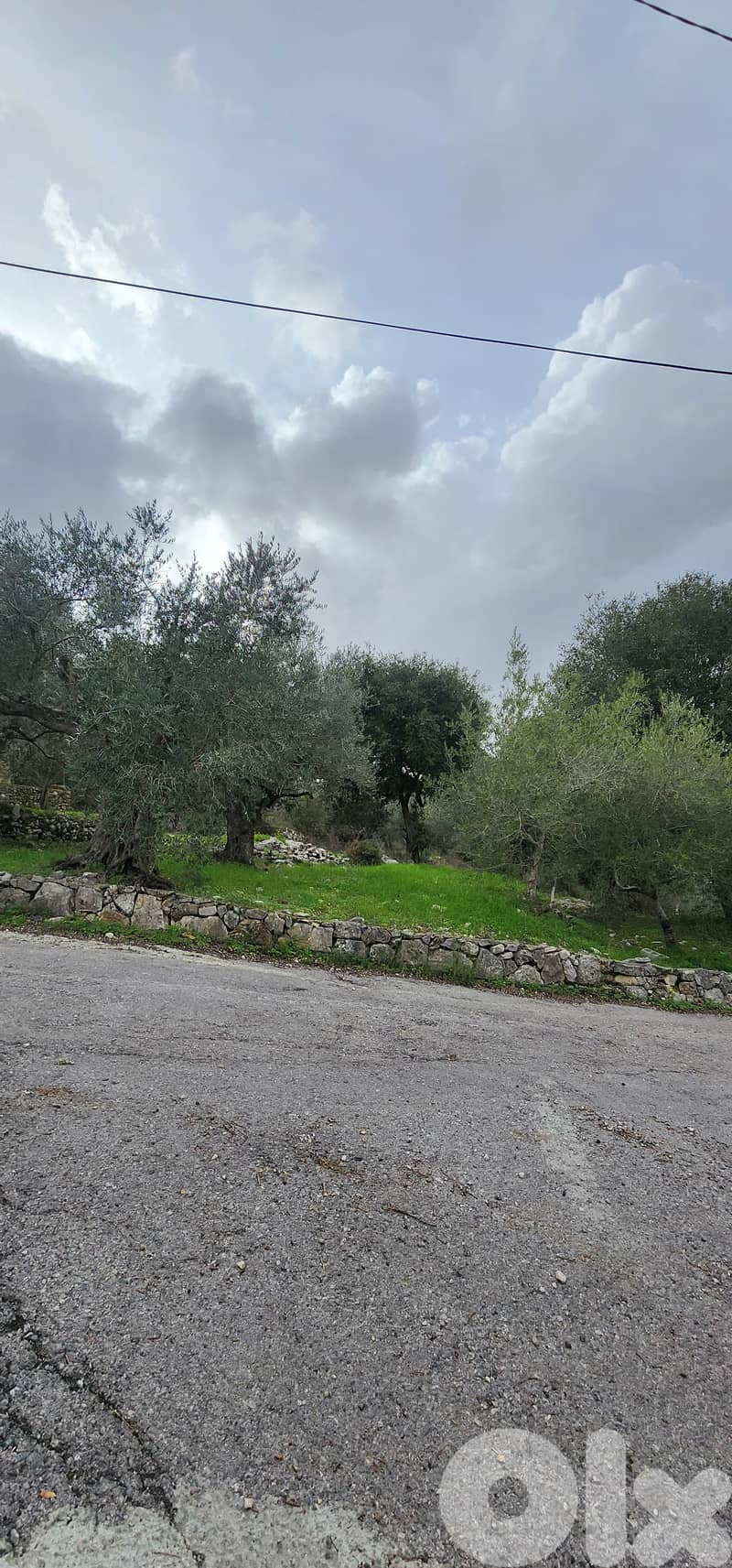 Land For Sale In Smar-Jbeil 4