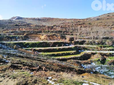 Agricultural Land for Rent and Investment