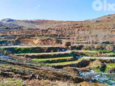 Agricultural Land for Rent and Investment