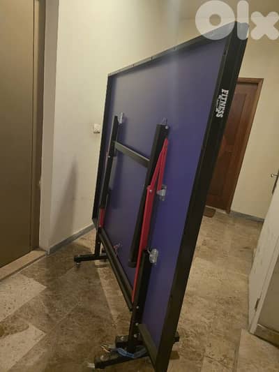 Fitness ping pong table
