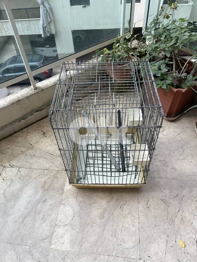 parrot cage