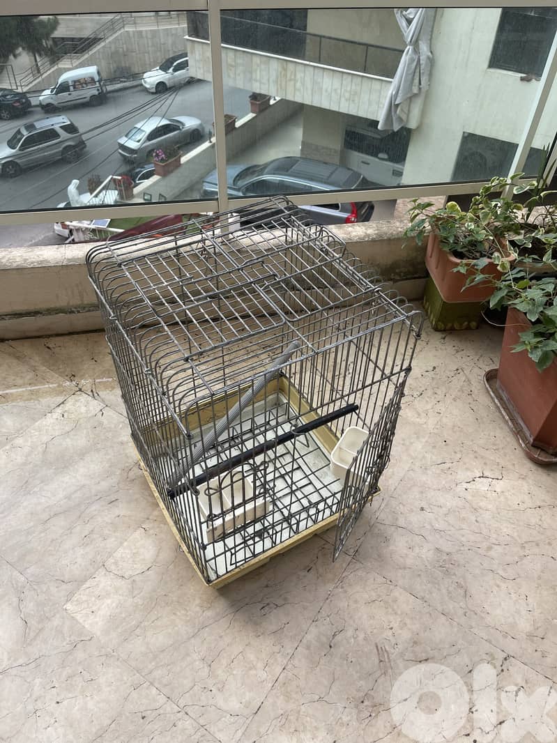 parrot cage 1