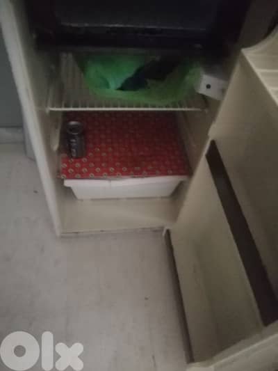 براد مع فريزر