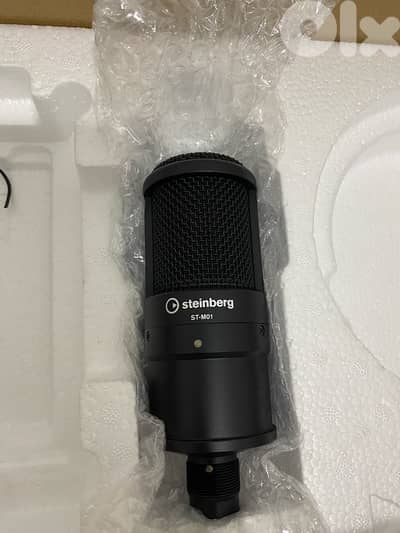 Steinberg ST-M01