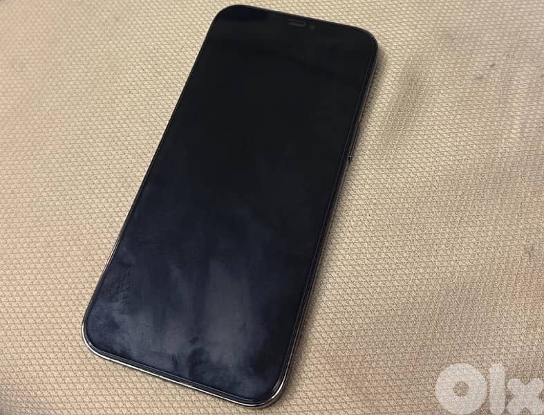 iPhone 12 Pro Max 256 Gb 3