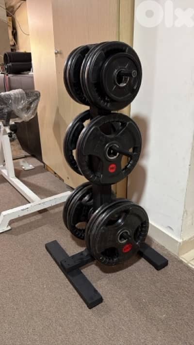 olympic plates stand
