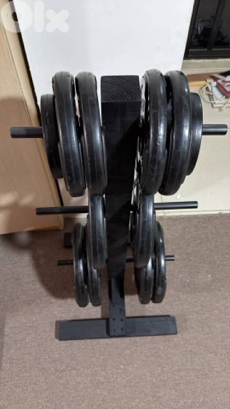 olympic plates stand 1