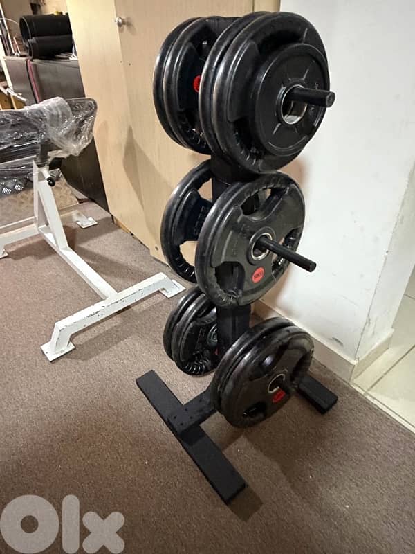 olympic plates stand 2