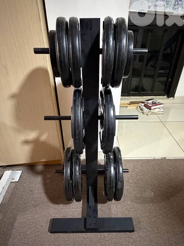 olympic plates stand 4