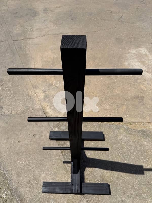 olympic plates stand 6