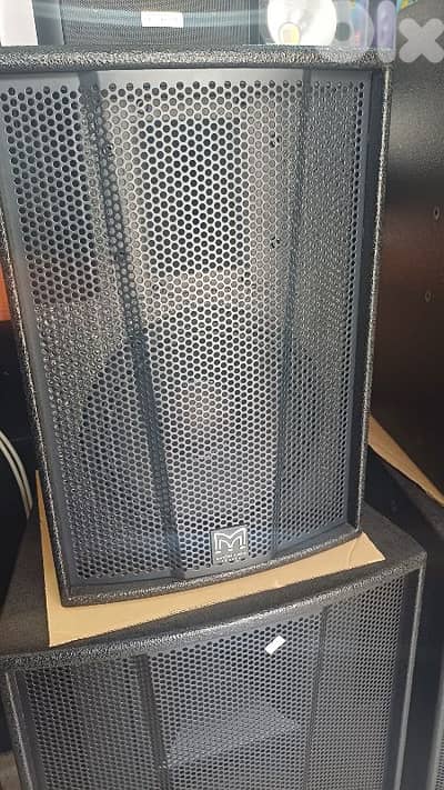 speaker martin audiio 10 inch