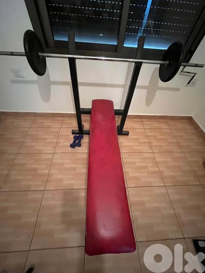 Bench + Axe + weights 20kg