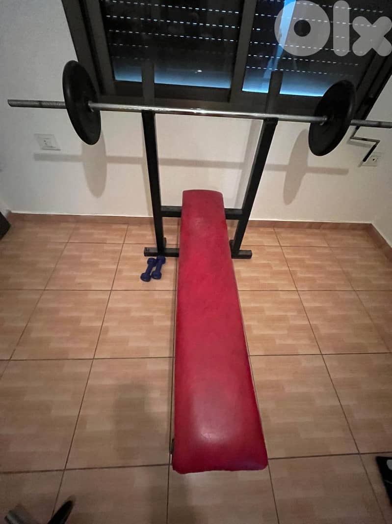 Bench + Axe + weights 20kg 1