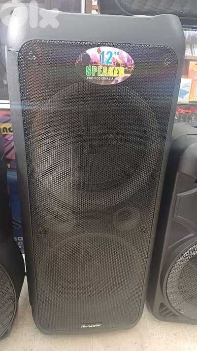 speaker double 12 inch powered